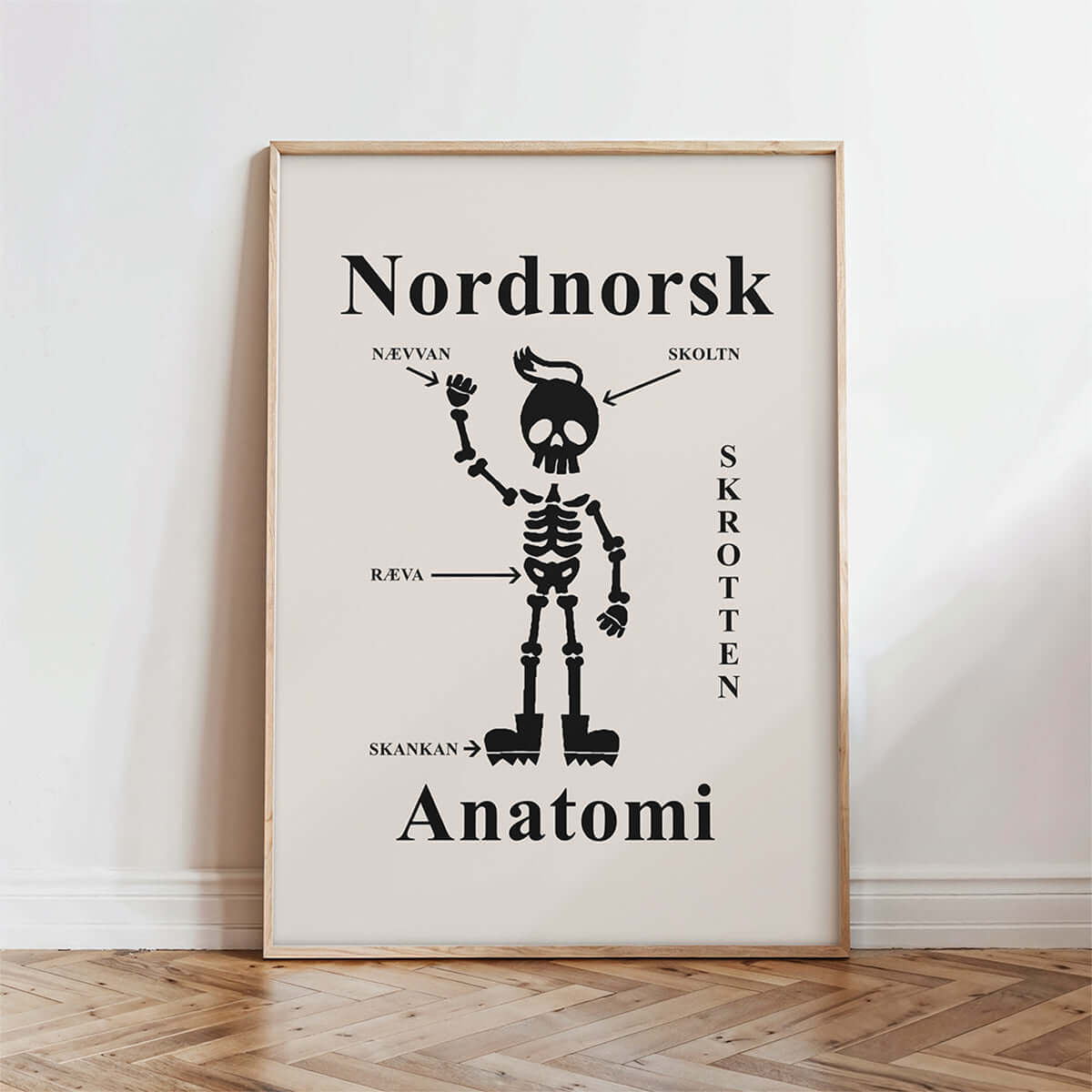 Nordnorsk Anatomi