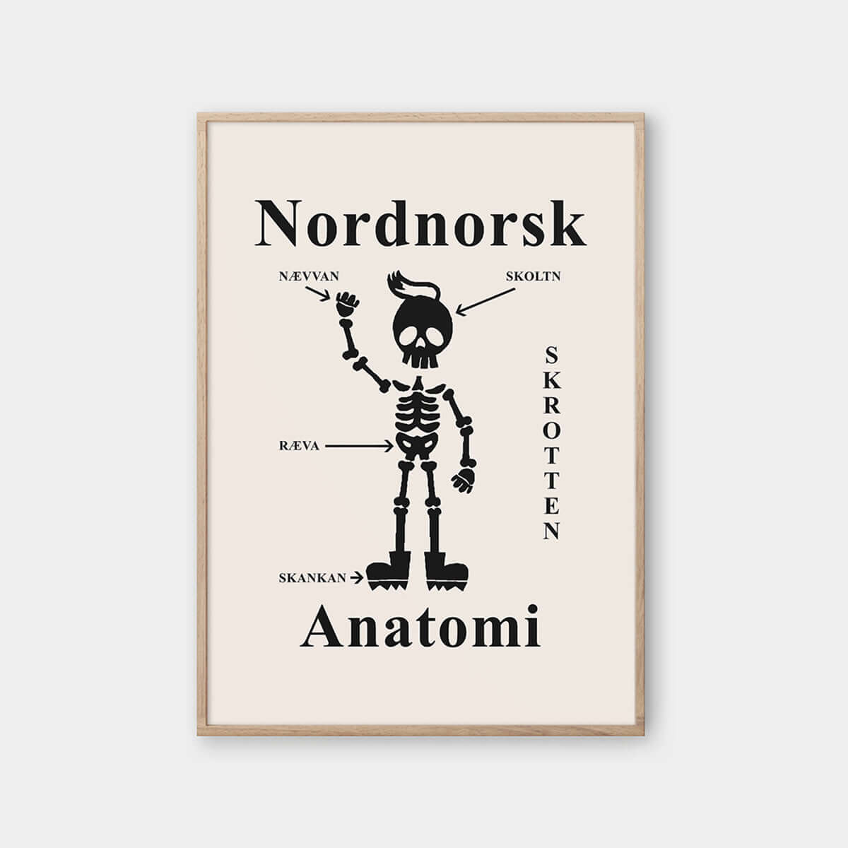 Nordnorsk Anatomi