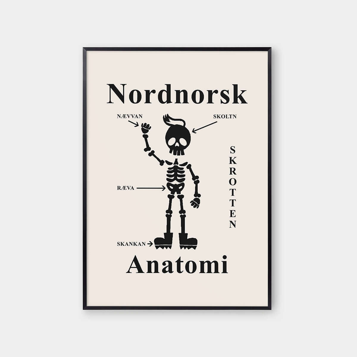 Nordnorsk Anatomi