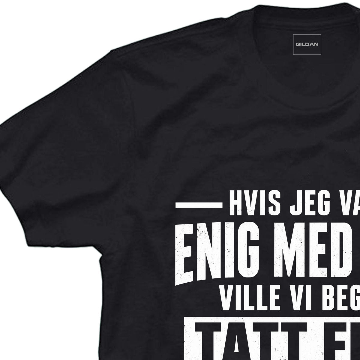 Hvis jeg var enig med deg