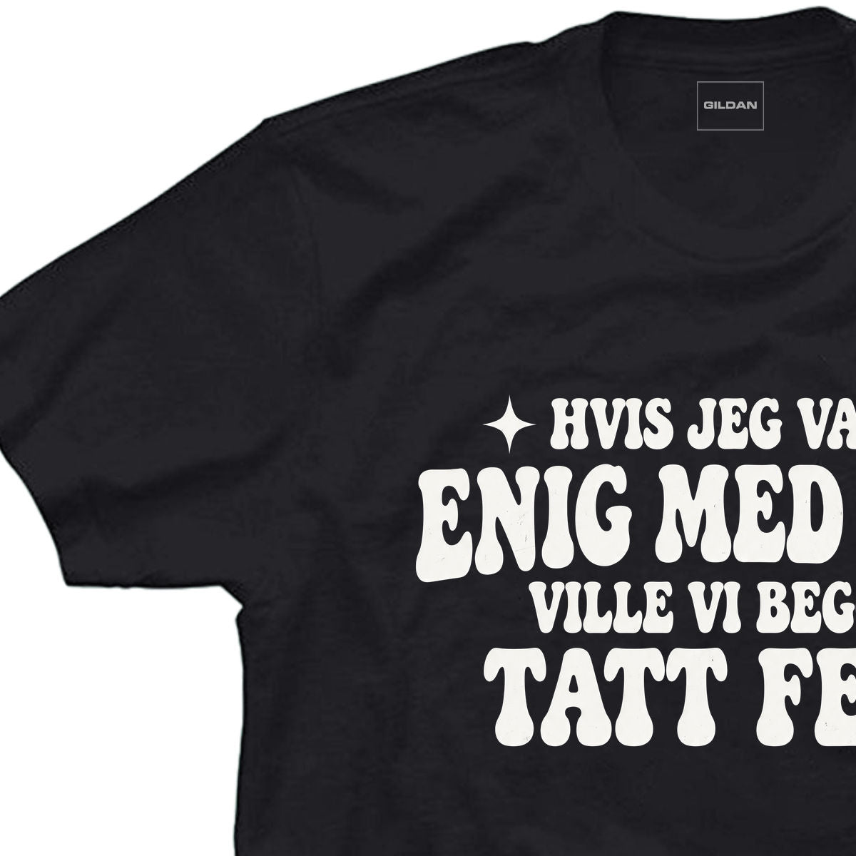 Hvis jeg var enig med deg ville vi begge tatt feil