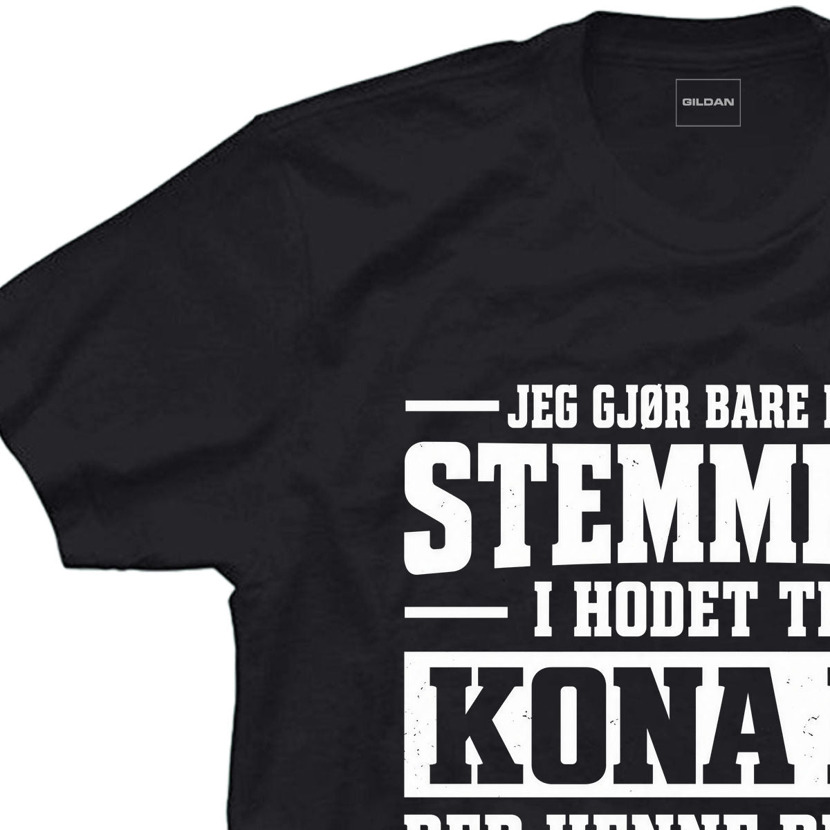 Stemmen i hodet til kona mi
